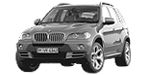 BMW E70 P1DAB Fault Code